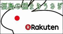 福島の棚まきうさぎ　楽天