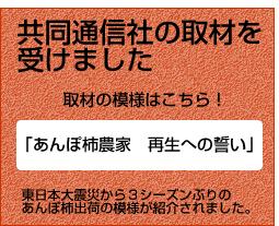 共同通信社からの取材